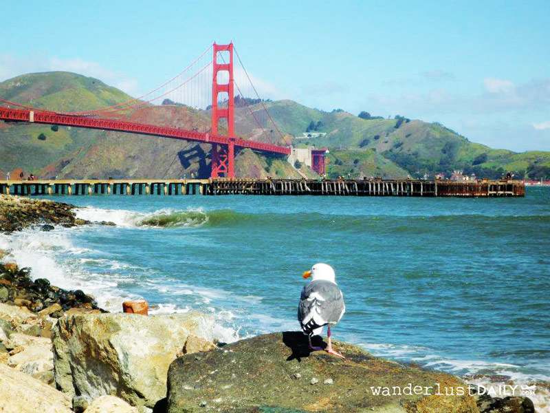 cosa vedere a San Francisco in 2 giorni