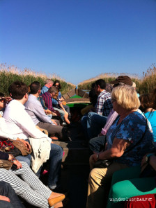 albufera-paseo-barca