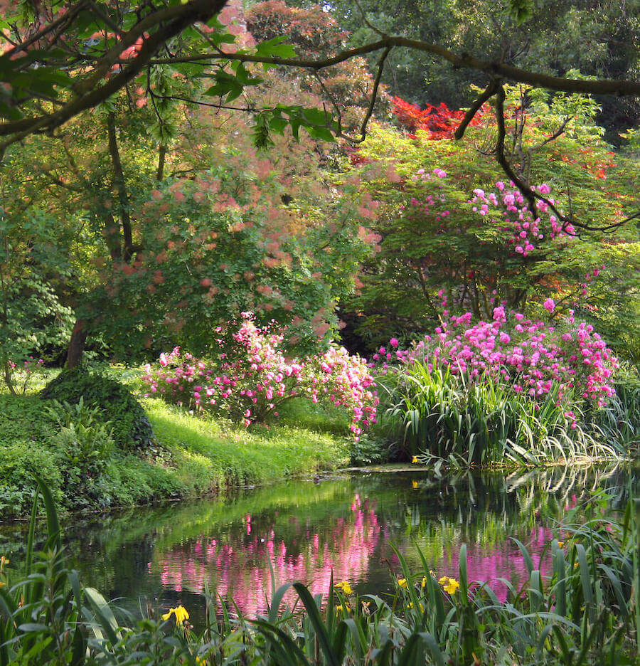 Natura nel lazio al giardino di ninfa, latina